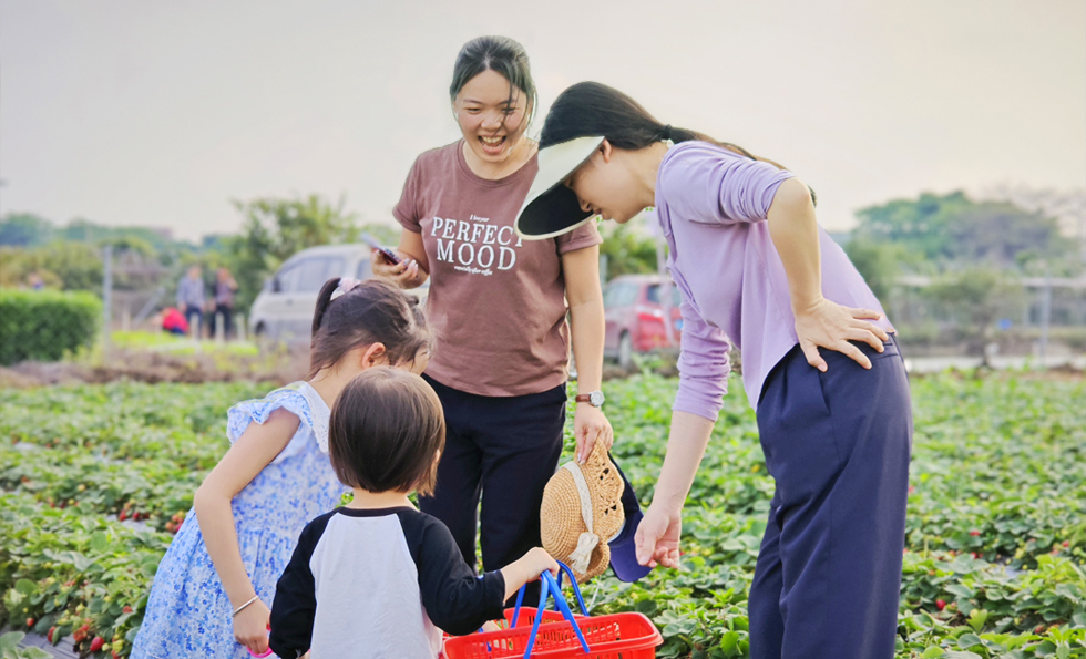 MK����(MKsports����)�ɷݹ�˾ - Mk Sports