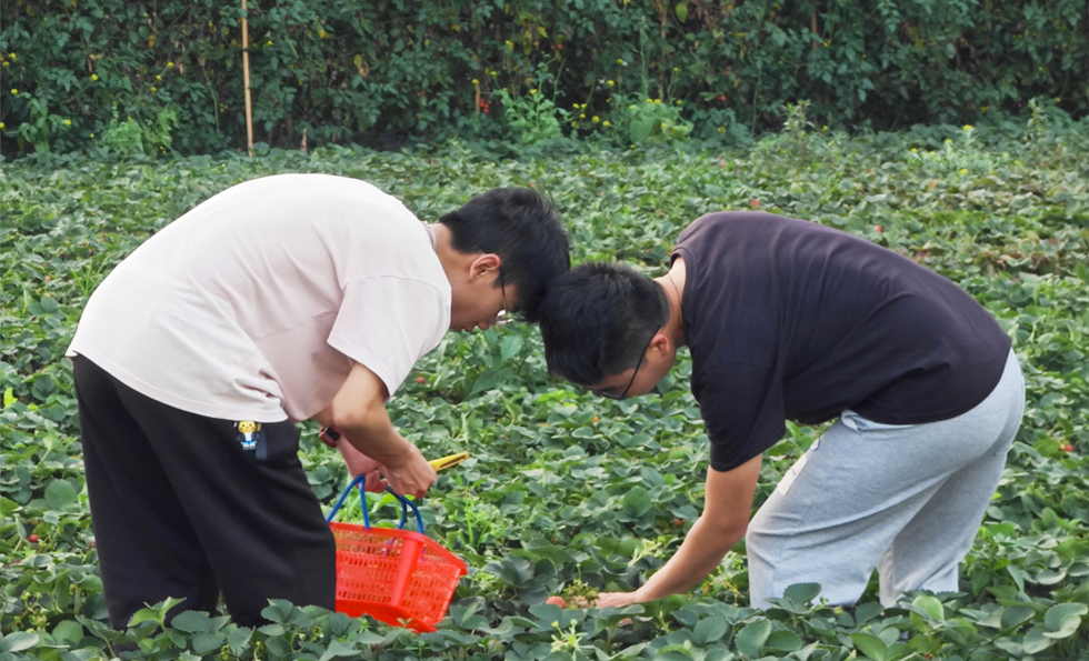 MK����(MKsports����)�ɷݹ�˾ - Mk Sports