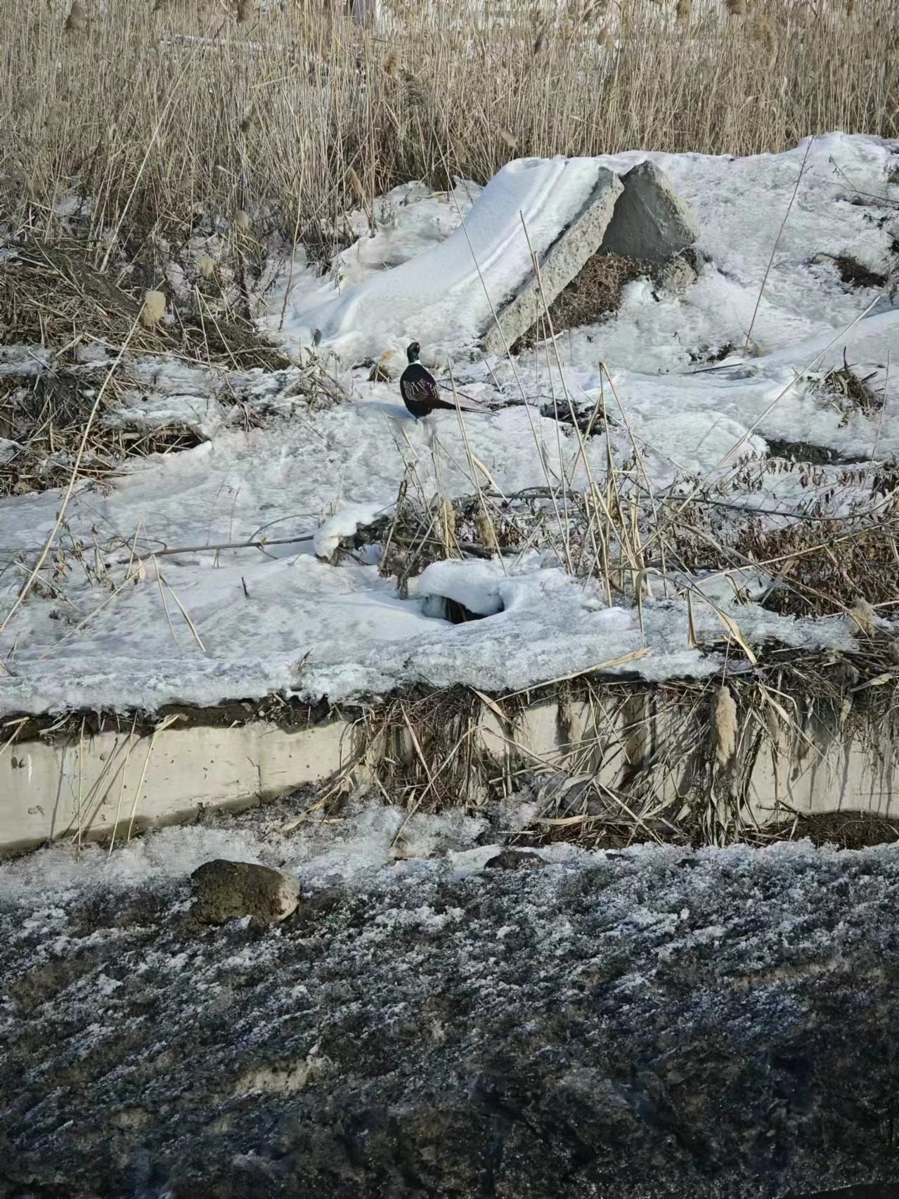 MK����(MKsports����)�ɷݹ�˾ - Mk Sports