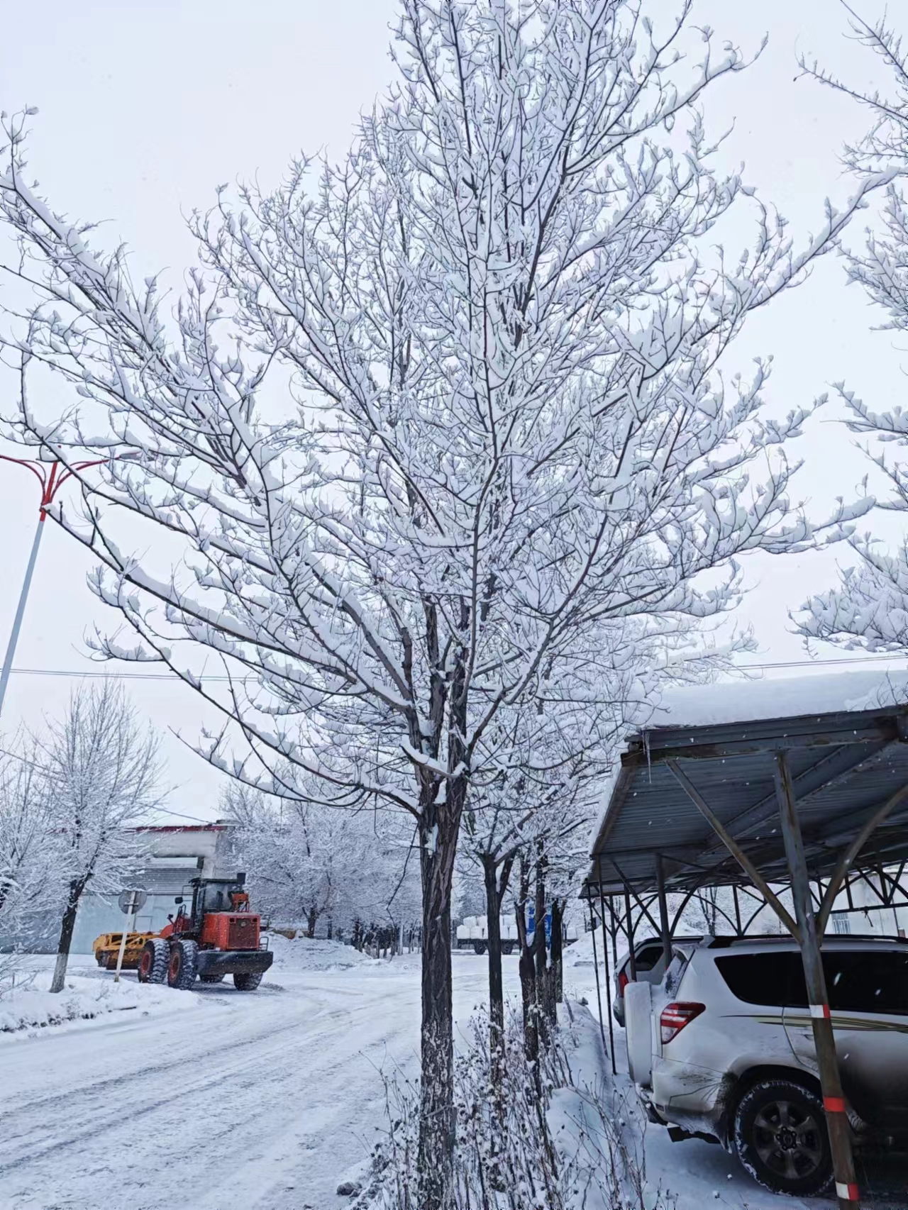 MK����(MKsports����)�ɷݹ�˾ - Mk Sports